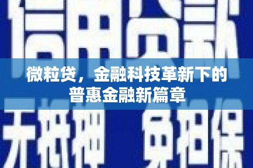 三湾微粒贷，金融科技革新下的普惠金融新篇章