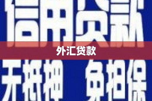 三湾外汇贷款