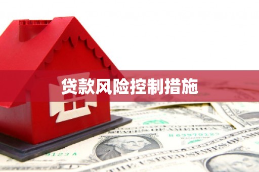 三湾贷款风险控制措施