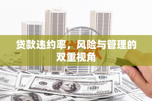 三湾贷款违约率，风险与管理的双重视角
