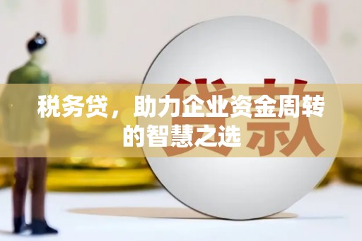 三湾税务贷，助力企业资金周转的智慧之选