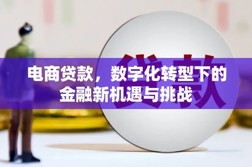 三湾电商贷款，数字化转型下的金融新机遇与挑战