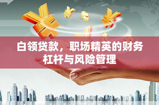 三湾白领贷款，职场精英的财务杠杆与风险管理