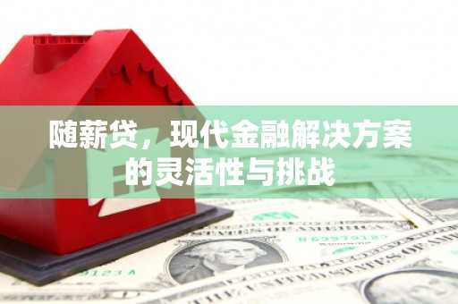 三湾随薪贷，现代金融解决方案的灵活性与挑战