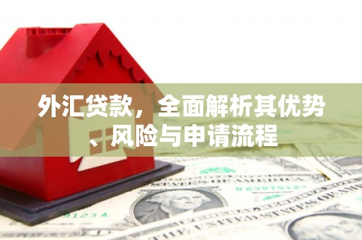 三湾外汇贷款，全面解析其优势、风险与申请流程