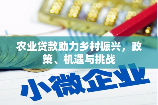 三湾农业贷款助力乡村振兴，政策、机遇与挑战