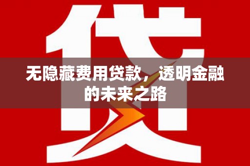 三湾无隐藏费用贷款，透明金融的未来之路