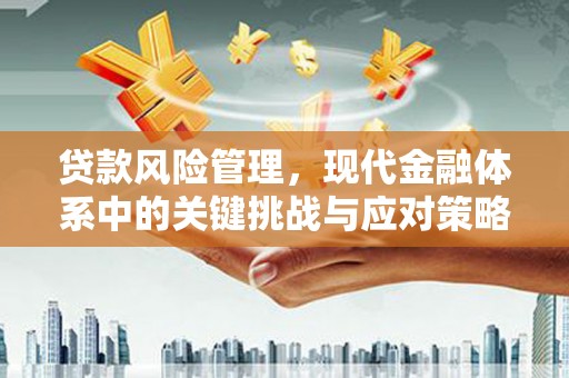 三湾贷款风险管理，现代金融体系中的关键挑战与应对策略