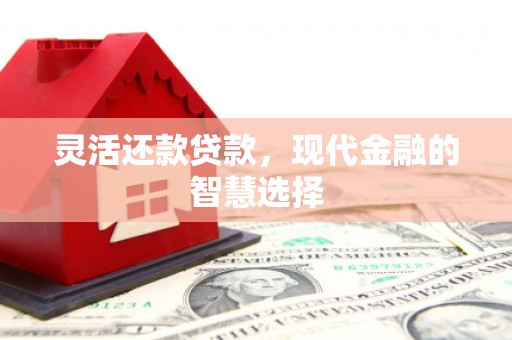 三湾灵活还款贷款，现代金融的智慧选择