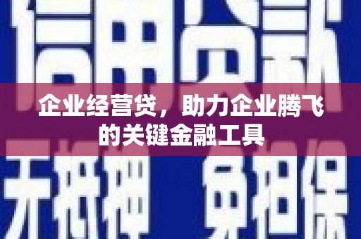 三湾企业经营贷，助力企业腾飞的关键金融工具