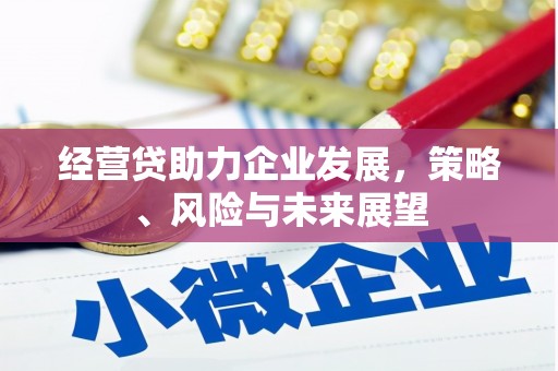 三湾经营贷助力企业发展，策略、风险与未来展望