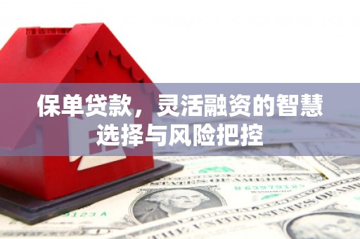 三湾保单贷款，灵活融资的智慧选择与风险把控