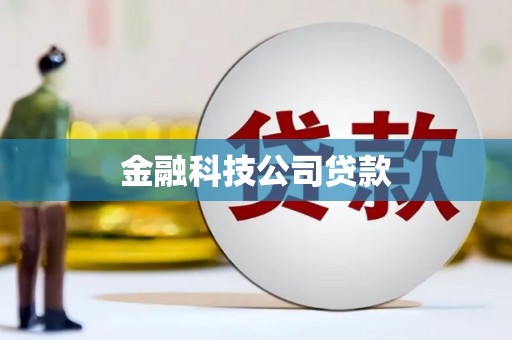 三湾金融科技公司贷款