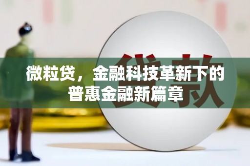 三湾微粒贷，金融科技革新下的普惠金融新篇章