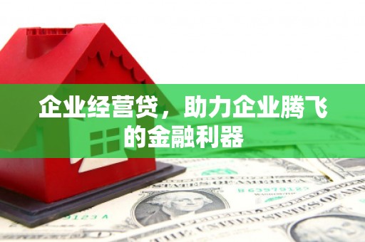 三湾企业经营贷，助力企业腾飞的金融利器
