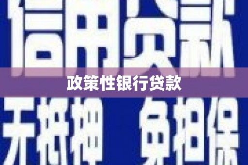 三湾政策性银行贷款
