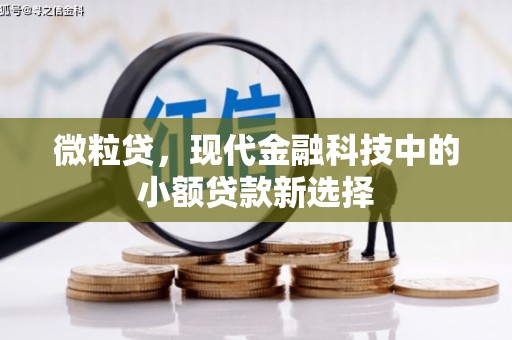 三湾微粒贷，现代金融科技中的小额贷款新选择
