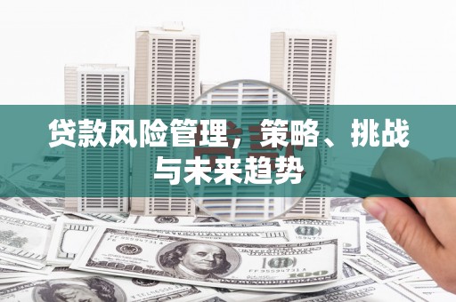 三湾贷款风险管理，策略、挑战与未来趋势
