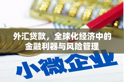 三湾外汇贷款，全球化经济中的金融利器与风险管理