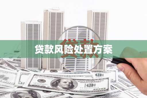 三湾贷款风险处置方案