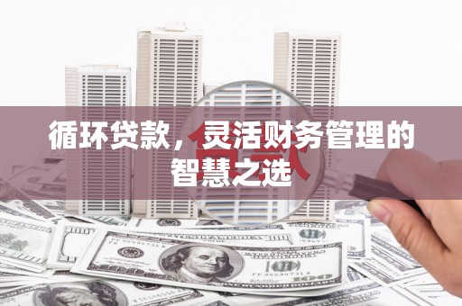 三湾循环贷款，灵活财务管理的智慧之选