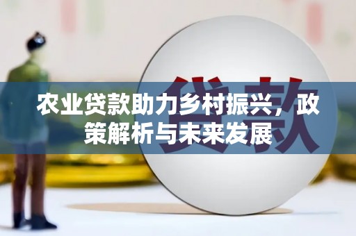 三湾农业贷款助力乡村振兴，政策解析与未来发展