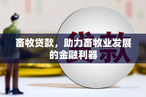 三湾畜牧贷款，助力畜牧业发展的金融利器