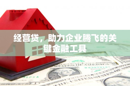 三湾经营贷，助力企业腾飞的关键金融工具