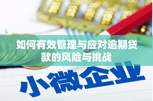 三湾如何有效管理与应对逾期贷款的风险与挑战