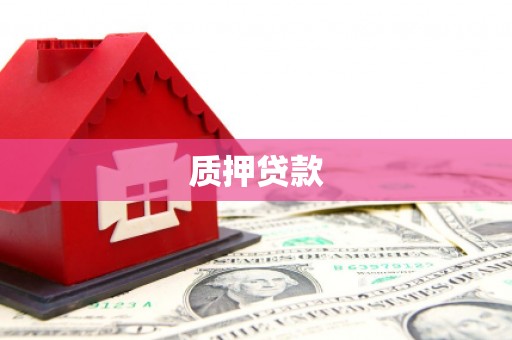 三湾质押贷款