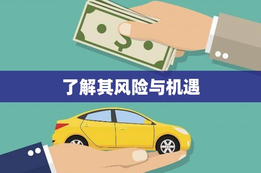 三湾了解其风险与机遇