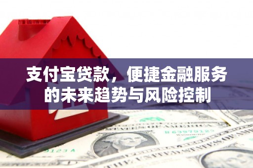 三湾支付宝贷款，便捷金融服务的未来趋势与风险控制