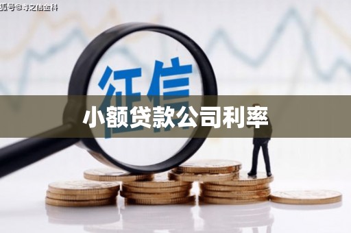 三湾小额贷款公司利率
