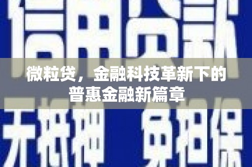 三湾微粒贷，金融科技革新下的普惠金融新篇章