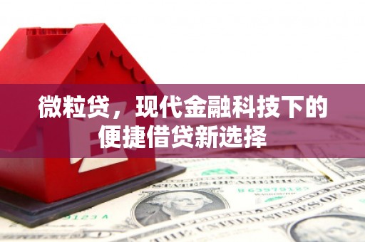 三湾微粒贷，现代金融科技下的便捷借贷新选择