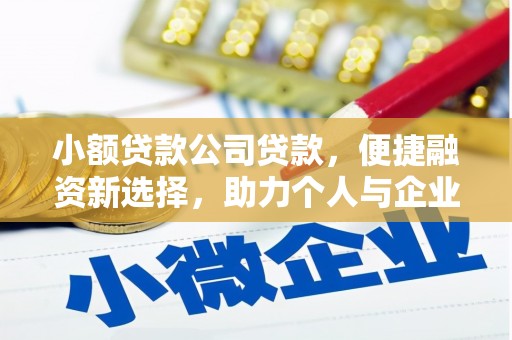三湾小额贷款公司贷款，便捷融资新选择，助力个人与企业成长