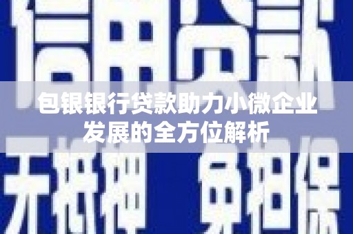 三湾包银银行贷款助力小微企业发展的全方位解析