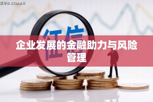 三湾企业发展的金融助力与风险管理
