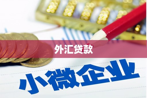 三湾外汇贷款