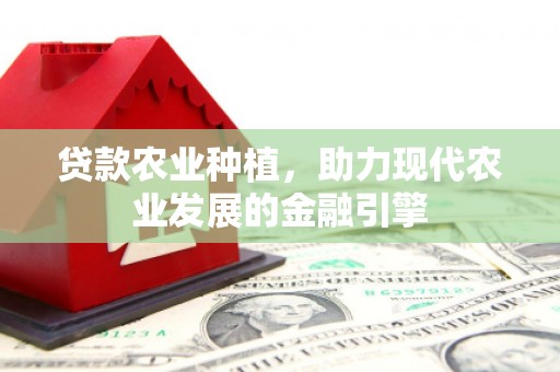 三湾贷款农业种植，助力现代农业发展的金融引擎