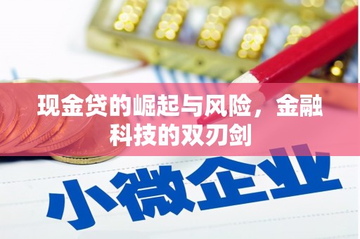 三湾现金贷的崛起与风险，金融科技的双刃剑