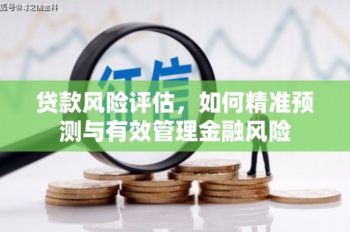 三湾贷款风险评估，如何精准预测与有效管理金融风险