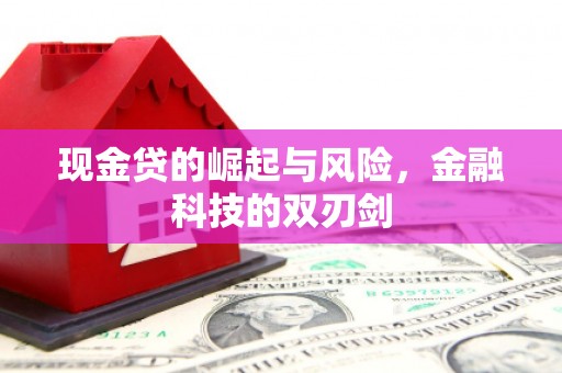 三湾现金贷的崛起与风险，金融科技的双刃剑