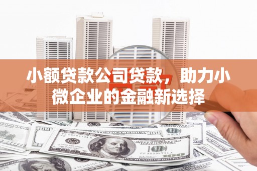 三湾小额贷款公司贷款，助力小微企业的金融新选择