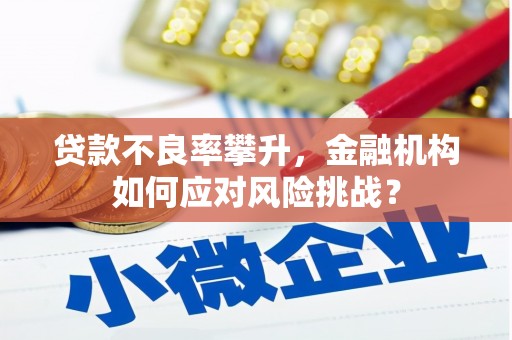 三湾贷款不良率攀升，金融机构如何应对风险挑战？