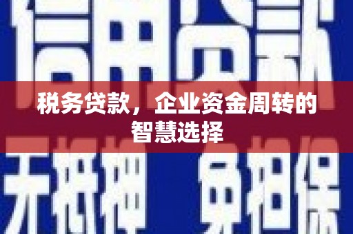 三湾税务贷款，企业资金周转的智慧选择