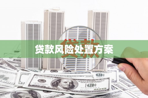 三湾贷款风险处置方案