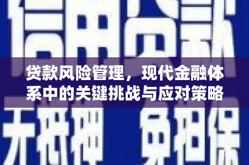 三湾贷款风险管理，现代金融体系中的关键挑战与应对策略