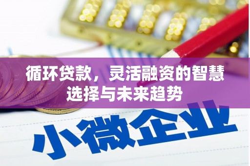 三湾循环贷款，灵活融资的智慧选择与未来趋势