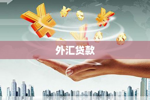 三湾外汇贷款